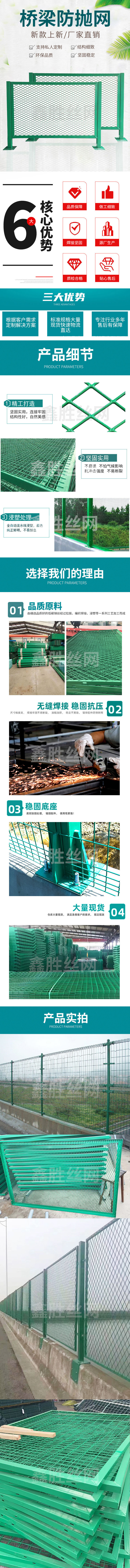 桥梁防抛网.jpg